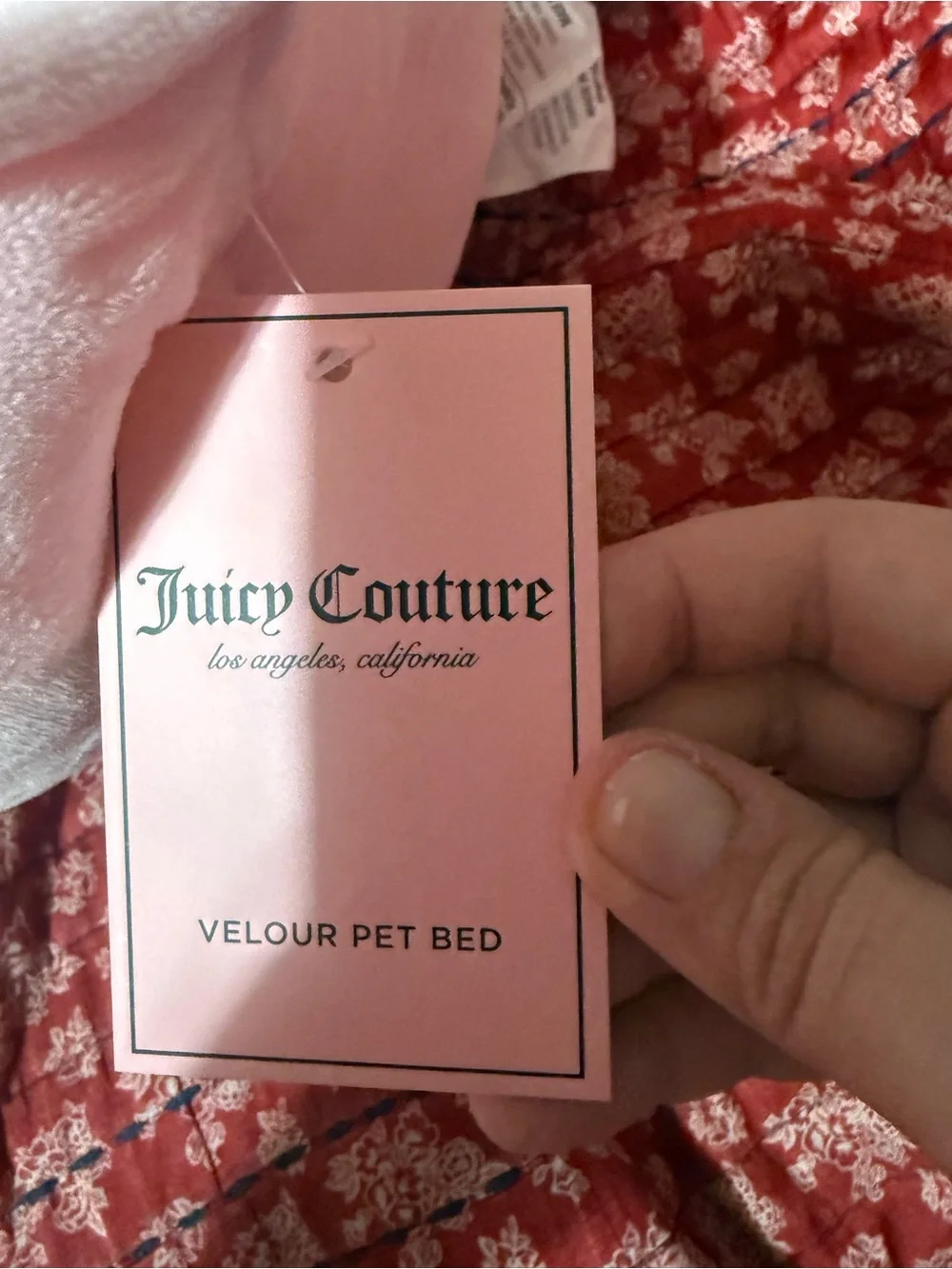 Juicy Couture plush juicy